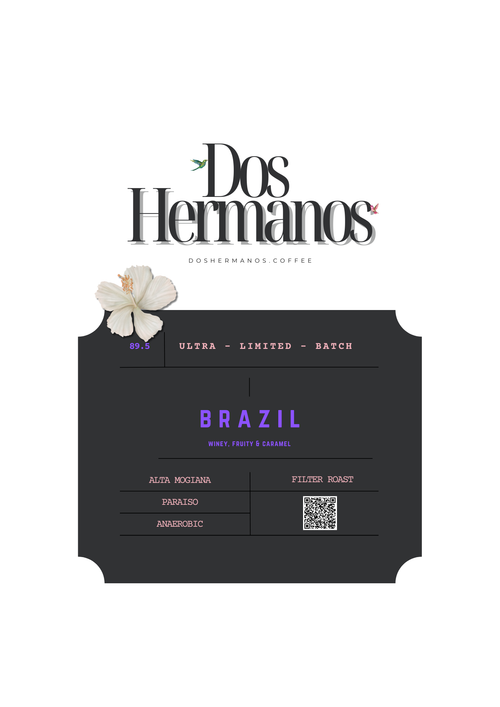 Brazil filter coffee